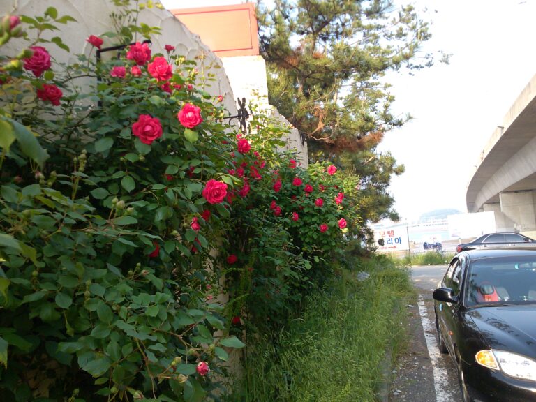 Img 20130602 172947