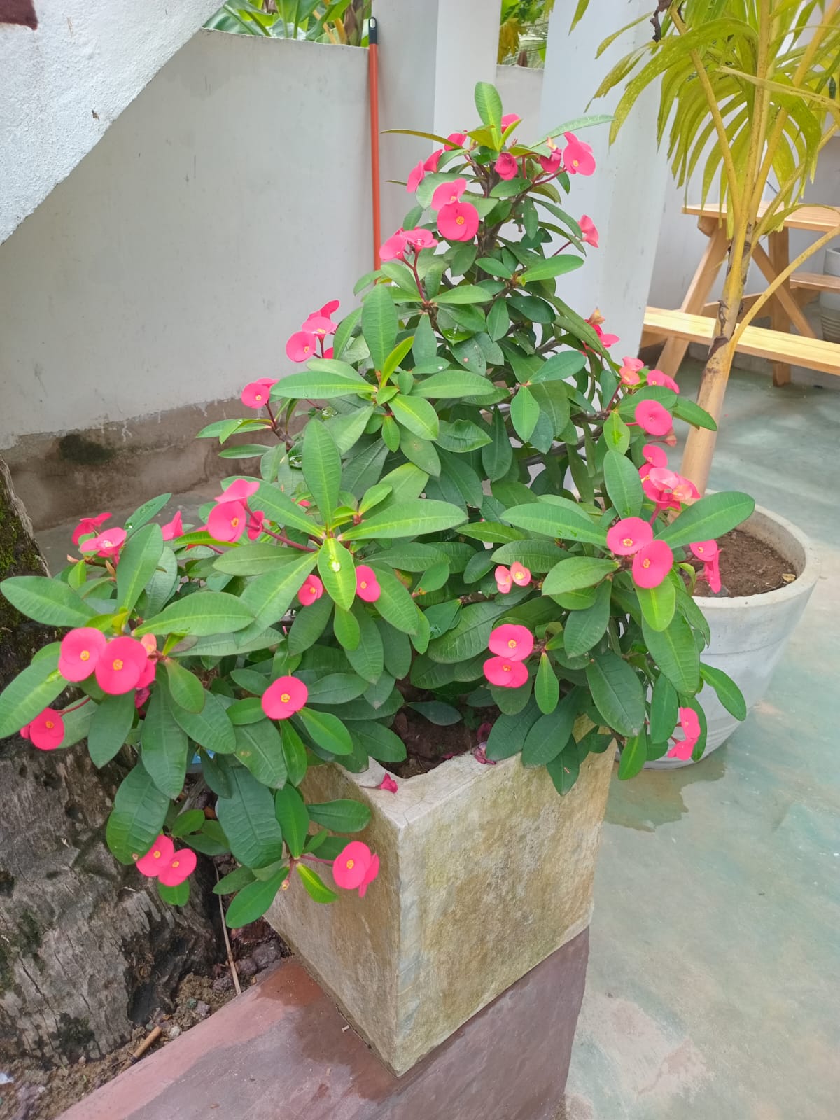 Img 20250123 Wa0284